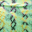 Holographic Print