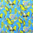 Holographic Print