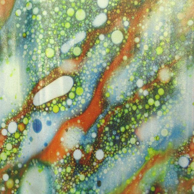 Holographic Print