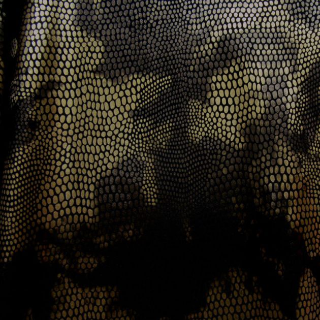 Holographic Print