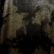 Holographic Print
