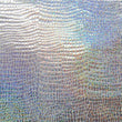 Holographic Print