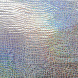 Holographic Print