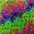 Holographic Print