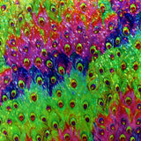 Holographic Print