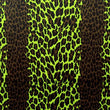 Leopard Skin