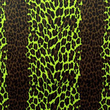 Leopard Skin