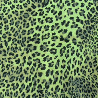 Leopard Skin