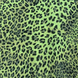 Leopard Skin