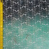 Ombre Lace