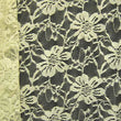 Stretch Lace