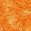 Glitter Lace