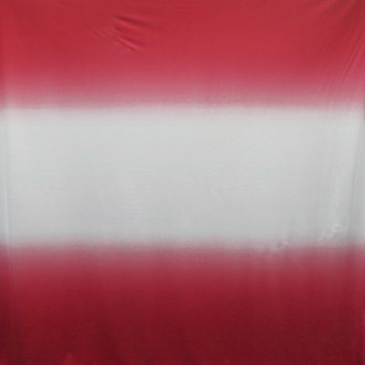 Ombre Print - Mesh