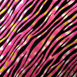 Metallic Foil