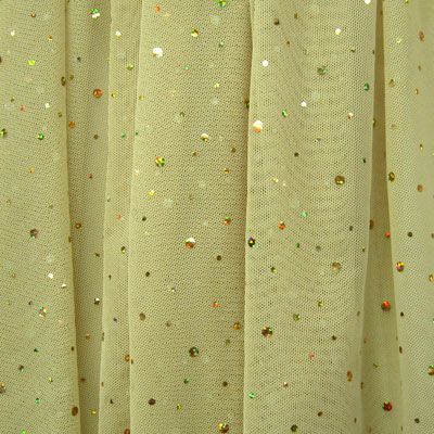 Sequins on Mesh