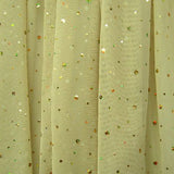 Sequins on Mesh