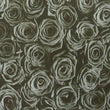 Floral Print