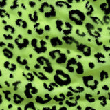 Printed Mesh