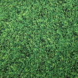 Grass