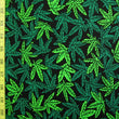 Leaf Print