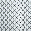 Fishscale