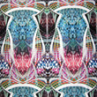 Digital Printed Spandex