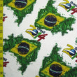 Brasil 2014