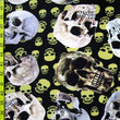 Digital Skull Print