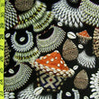Cowrie Shells