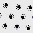 Dog Paws