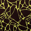 Printed Spandex