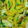 Bananas