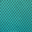 Fishscale