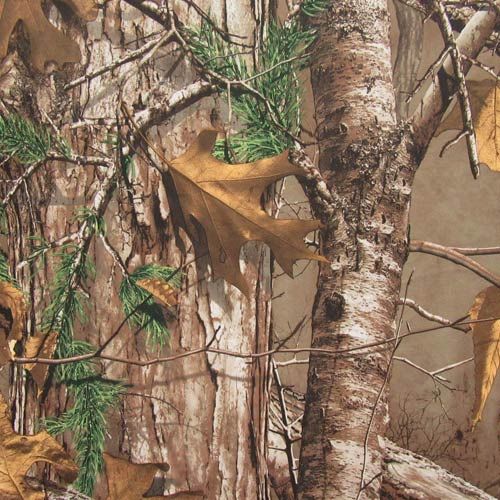 Camouflage/Autumn