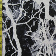 Printed Spandex