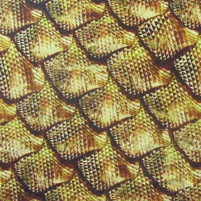 Fishscale
