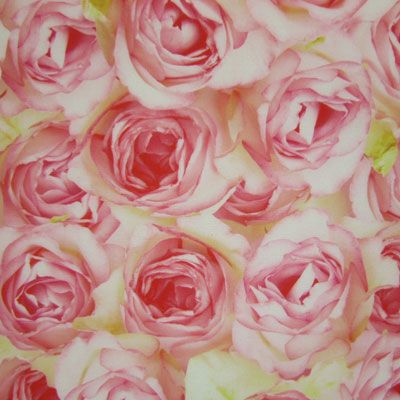 Rose / Floral Print