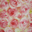 Rose / Floral Print