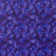 Kaleido