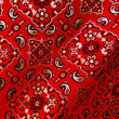 Metallic Bandana