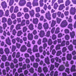 Printed Velvet
