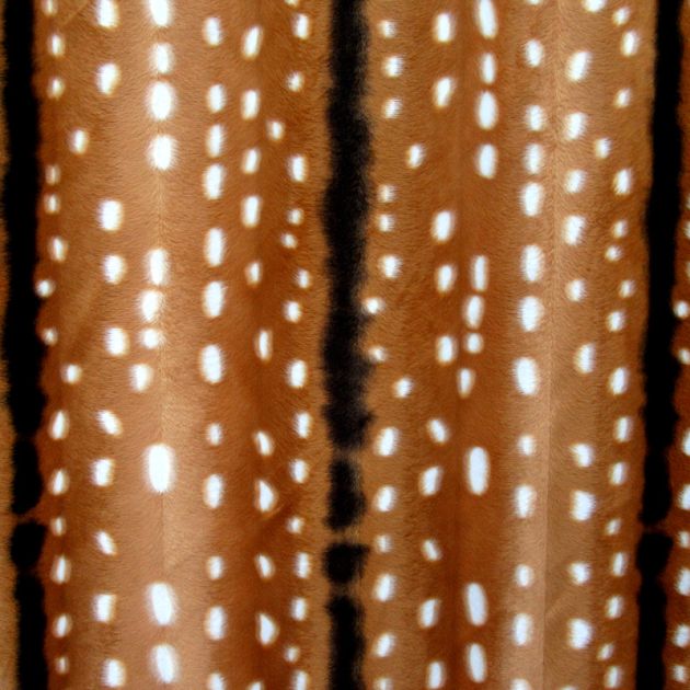 Printed Velvet