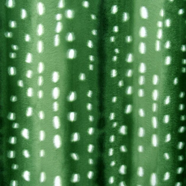Printed Velvet