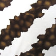 Printed Velvet