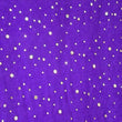Glitter Velvet