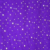 Glitter Velvet