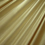 Metallic Slinky