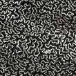 Squiggle Sequins
