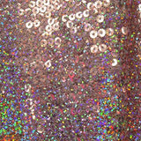 Sequin on Mesh