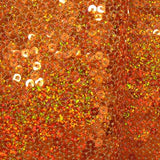 Sequin on Mesh